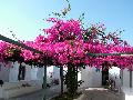 Santorini, Oia